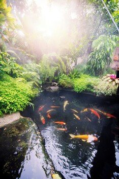 42garden chiangmai
