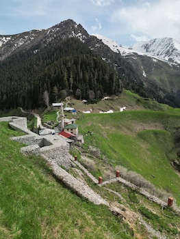 palam pansiyon