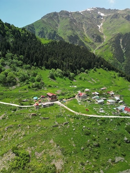 palam pansiyon