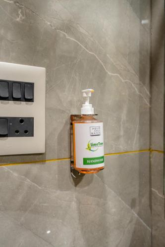 lime tree hotel medanta