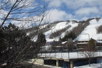 blue mountain luxury studio