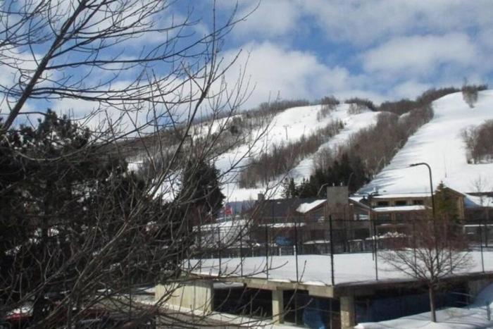blue mountain luxury studio