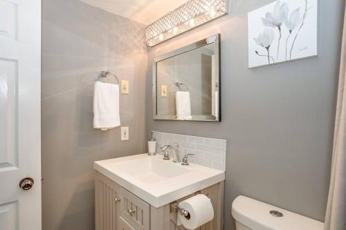 blue mountain luxury studio