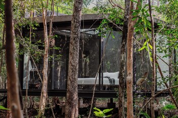 sota human space retreat centre and wellness adults only