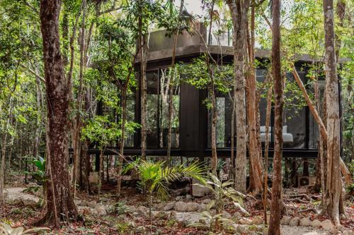 sota human space retreat centre and wellness adults only