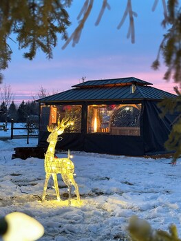 prairie junction cabins stettler