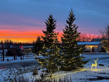 prairie junction cabins stettler
