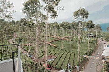 tentrem syariah nexura collection