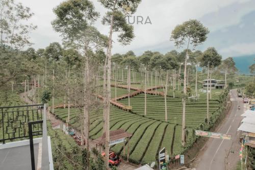 tentrem syariah nexura collection