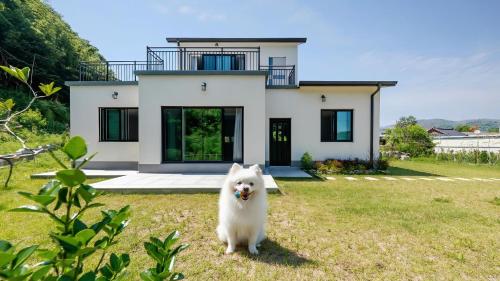 gyeongju sunflower private cottage