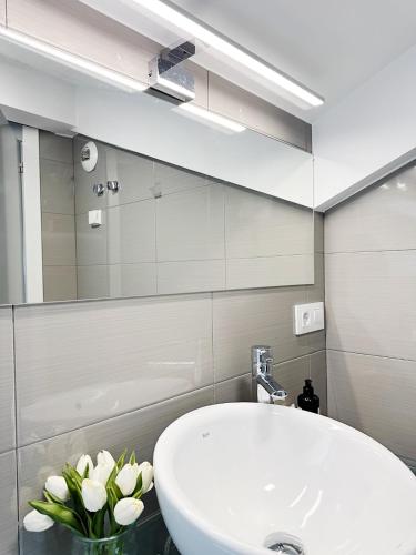llanes suites