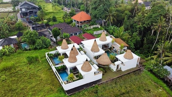 Golden Bee,,4 star