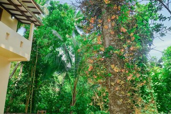 unawatuna nature villa