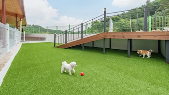 Gapyeong Nature Pension,,3 star