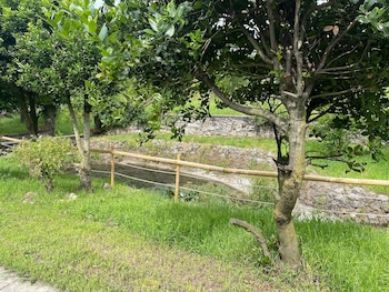 villa vinea prisca