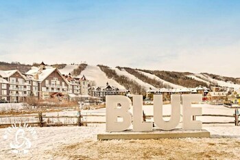 blue mountain