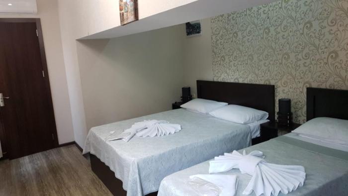hotel nino on tsamebuli