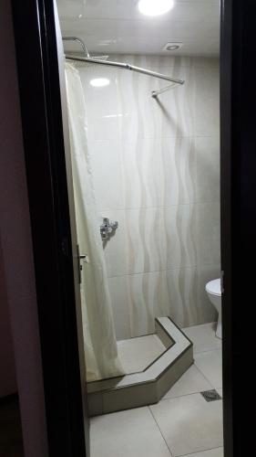 hotel nino on tsamebuli