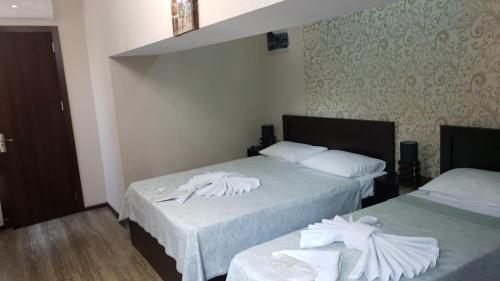 hotel nino on tsamebuli