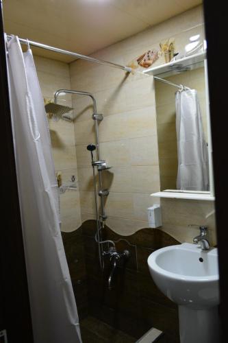 hotel nino on tsamebuli