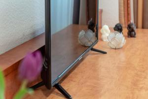 boardinghouse burgpark