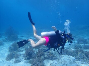 the gili menjangan