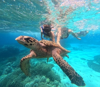 the gili menjangan