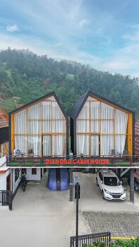 diamond cabin house