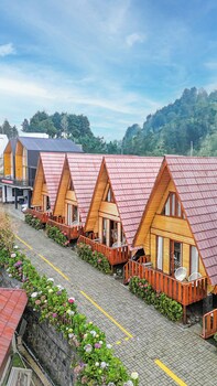 diamond cabin house