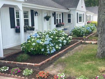 cape cod motor inn