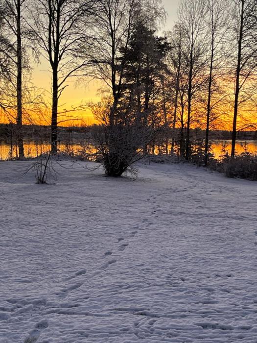 rovaniemi