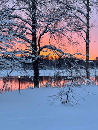 rovaniemi