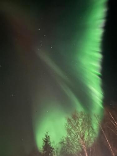 rovaniemi