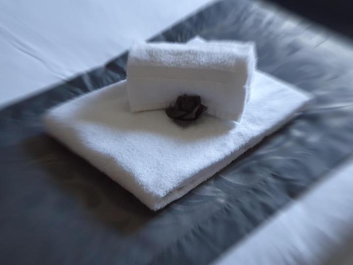 waldhotel surwold
