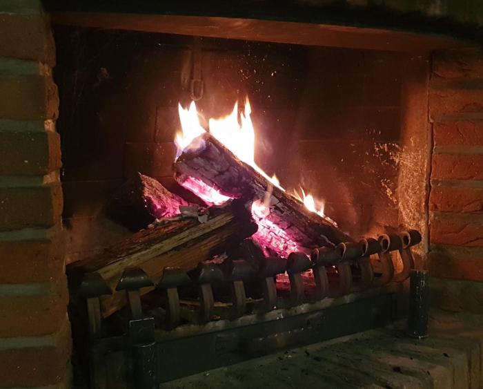 waldhotel surwold