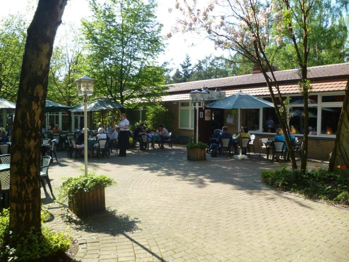 waldhotel surwold