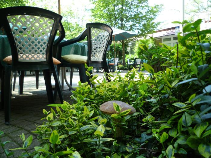 waldhotel surwold