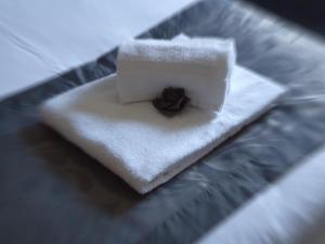 waldhotel surwold