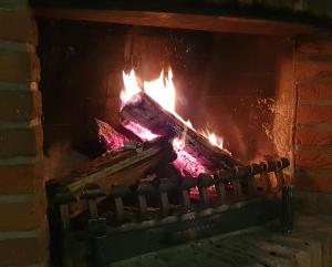 waldhotel surwold