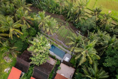 anggrek sari villa