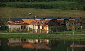 telavi