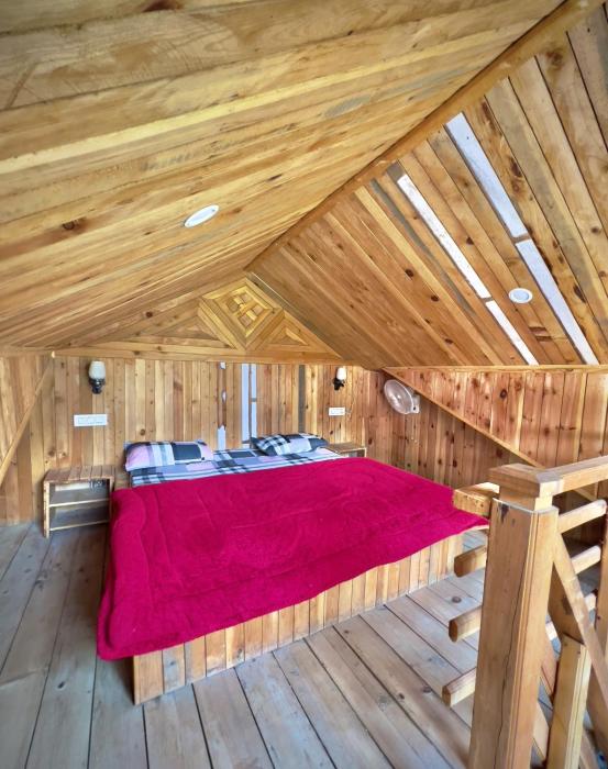 royal star kasol