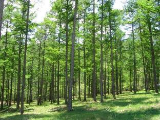 azumino hotaka view hotel