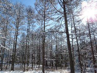 azumino hotaka view hotel