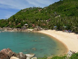 coral cliff beach resort samui