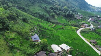bees homestay sapa and trekking