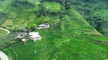 bees homestay sapa and trekking