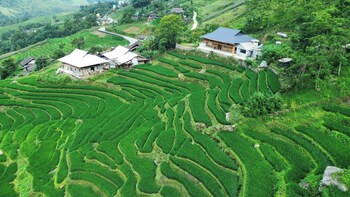bees homestay sapa and trekking