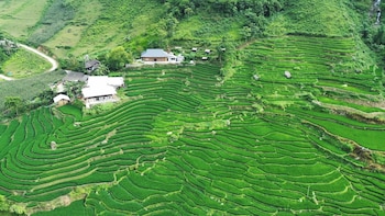 bees homestay sapa and trekking