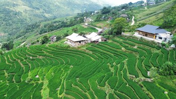bees homestay sapa and trekking